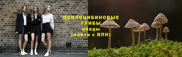 ECSTASY Нязепетровск