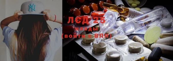 spice Няндома