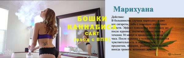 spice Няндома