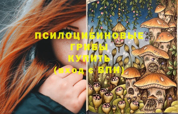 ECSTASY Нязепетровск