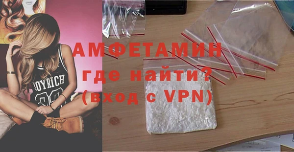 шишки Бикин